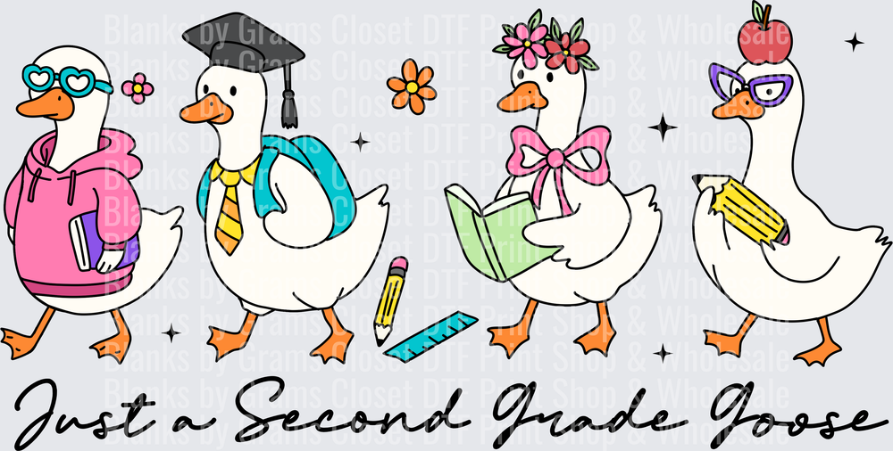 Just a Second Grade Goose School Geese Squad