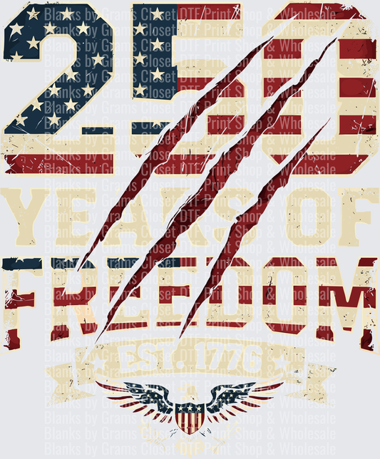 246 Years of Freedom Patriotic Eagle Est 1776 American Flag